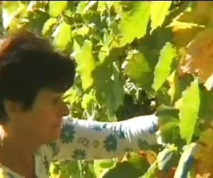 Sexy reife frauen se ...