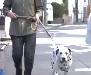 Japanisch erotikfilm ...