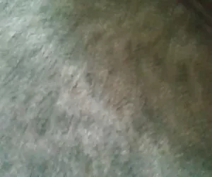 Gratis pornofilme an ...