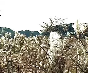 Schöne nackte weiber ...