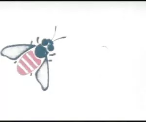 Gelie frauen klassis ...