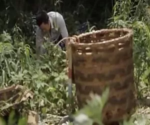 Kostenlose pornoseit ...